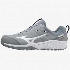 Mizuno Ambition 2 Turf