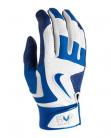 Nike MVP Elite